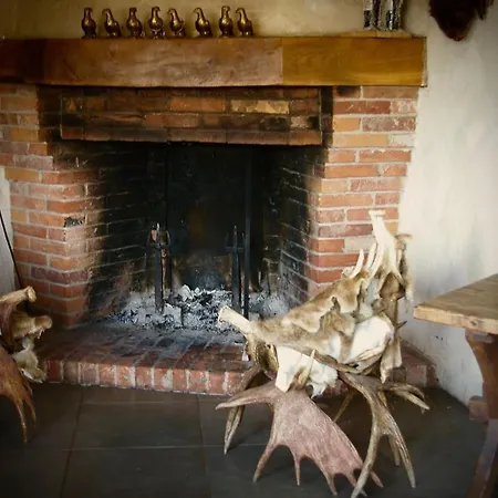 Tammemae Hotel Torve