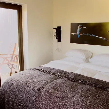 Tammemae Hotel Torve