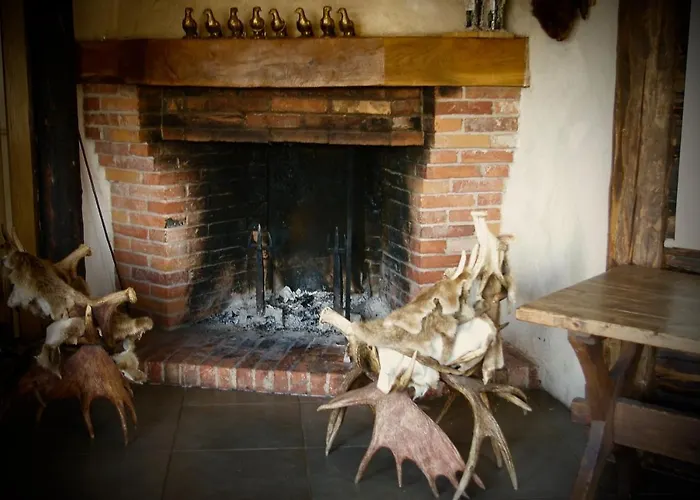 Tammemae Hotel Torve