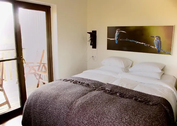 Tammemae Hotel Torve